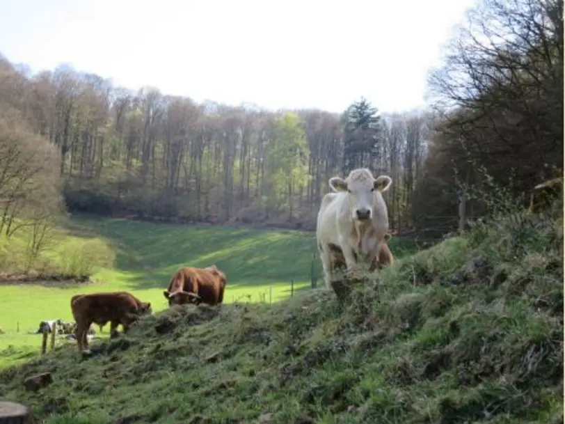 Biohof Leidecker in Queidersbach